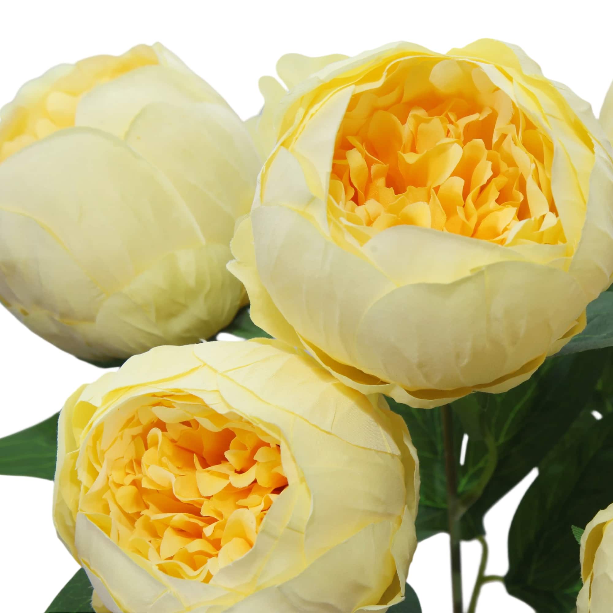 20" Yellow Peony Deluxe Bush by Ashland®